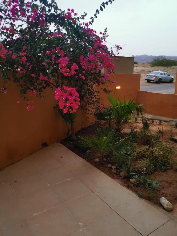 A Wonderful Stay At The Dead Sea Sweimeh Esterno foto