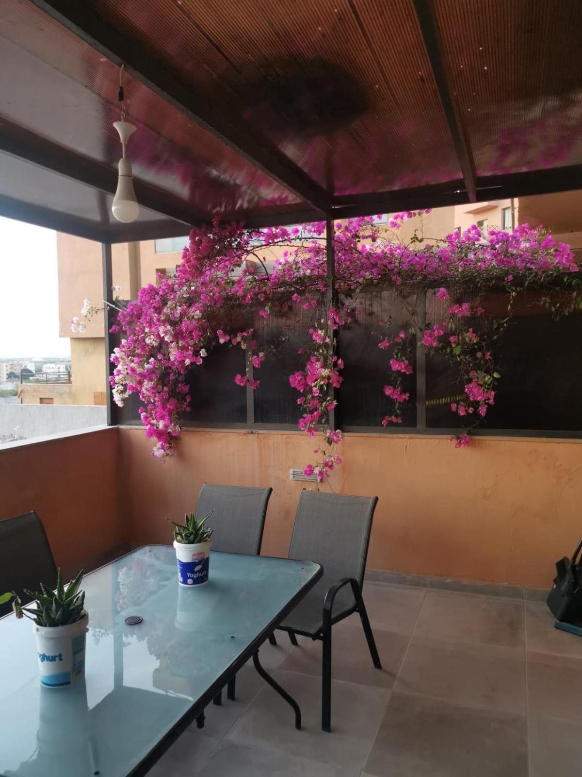 A Wonderful Stay At The Dead Sea Sweimeh Esterno foto